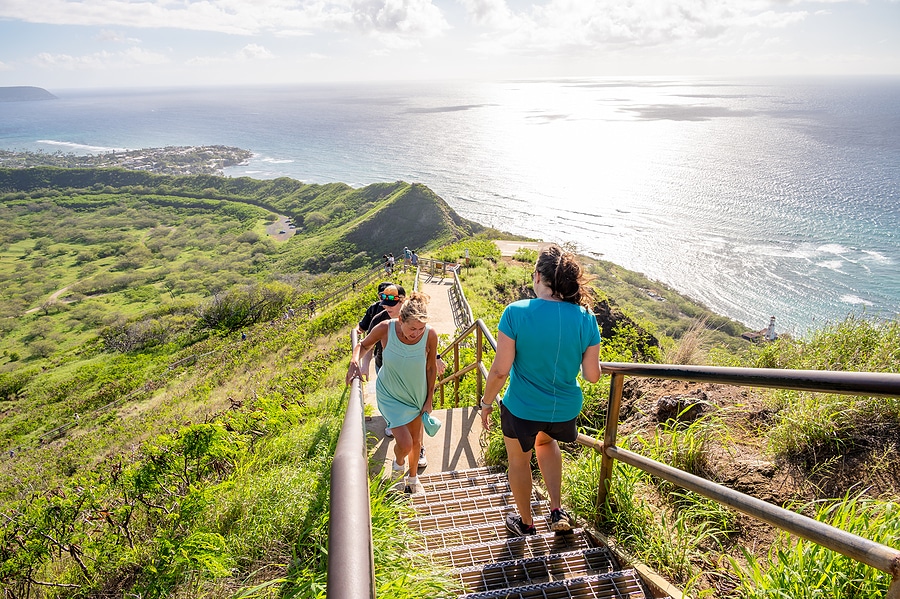 Oahu Halloween Nightmare Jungle Trail & Outdoor Haunted Experience with  S'mores tours, activities, fun things to do in Oahu(Hawaii)｜VELTRA